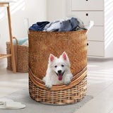 American Eskimo - Rattan - LB