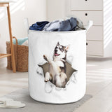 Husky - Tornpaper - LB