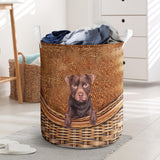 Patterdale Terrier - Rattan - LB