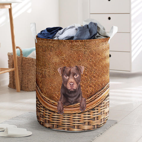 Patterdale Terrier - Rattan - LB