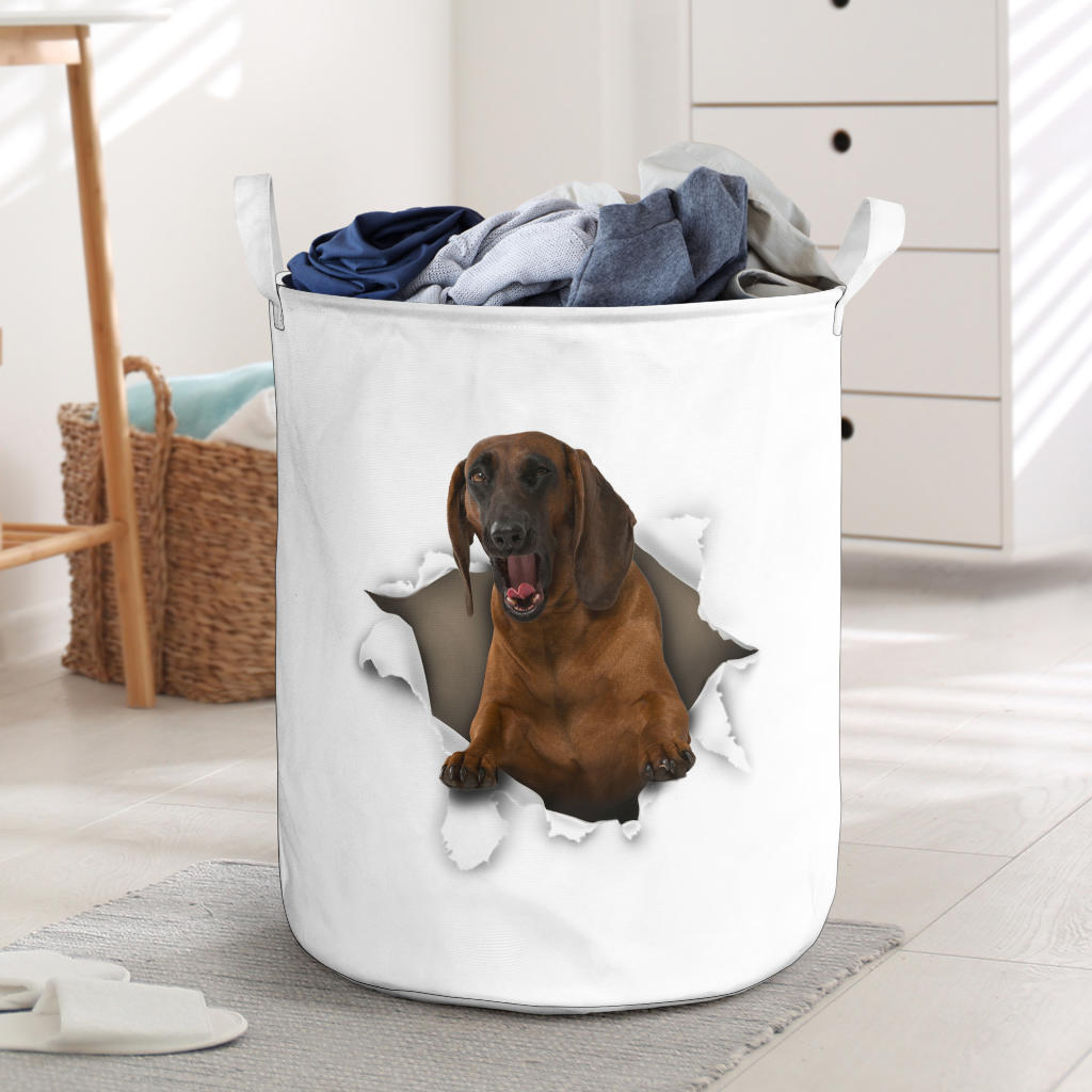 Bavarian Mountain Hound - Tornpaper - LB