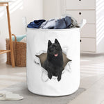 Schipperke - Tornpaper - LB