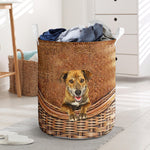 Plott Hound - Rattan - LB