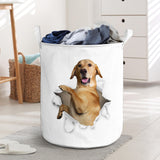 Labrador Retriever - Tornpaper - LB