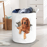 Irish Setter - Tornpaper - LB