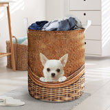 White Chihuahua - Rattan - LB