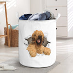 Briard - Tornpaper - LB