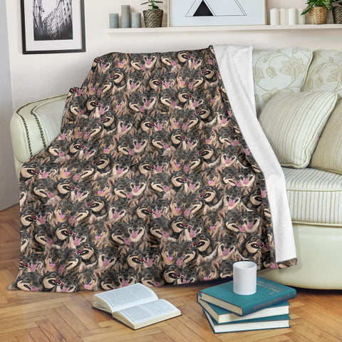 Swedish Vallhund Full Face Blanket