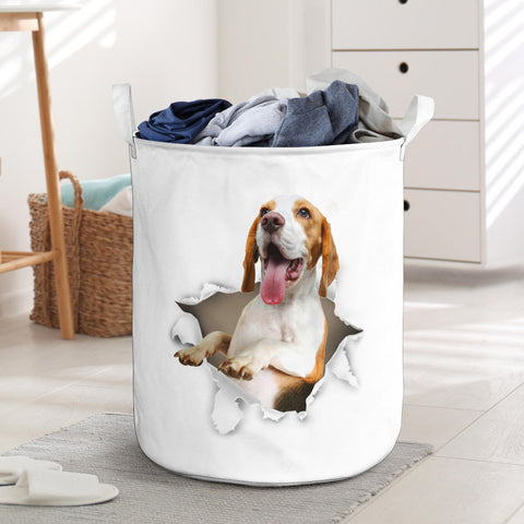 Beagle - Tornpaper - LB