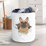 French Bulldog - Tornpaper - LB