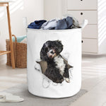 havanese - Tornpaper - LB