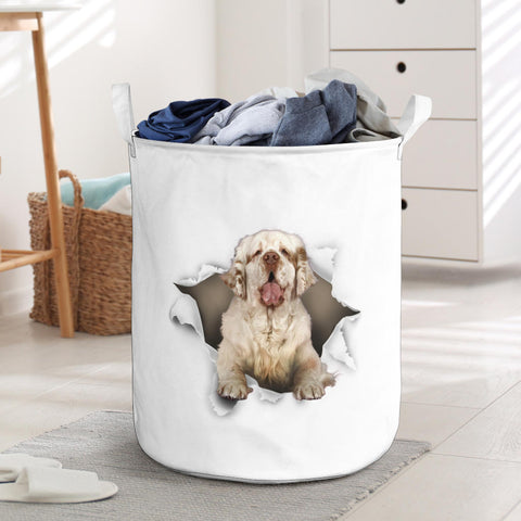 Clumber Spaniel - Tornpaper - LB