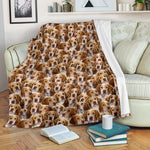 French Spaniel Full Face Blanket