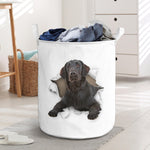 Flat Coated Retriever - Tornpaper - LB