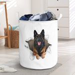 Belgian Tervuren - Tornpaper - LB