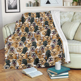 American Cocker Spaniel Full Face Blanket