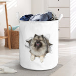 Keeshond - Tornpaper - LB