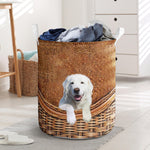 Maremma Sheepdog - Rattan - LB