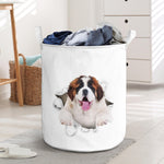 St Bernard - Tornpaper - LB