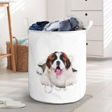 St Bernard - Tornpaper - LB