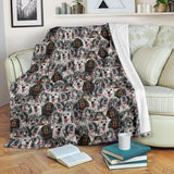 English Setter Full Face Blanket