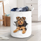 Yorkshire Terrier1 - Tornpaper - LB