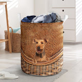 Welsh Terrier - Rattan - LB