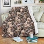 Glen of Imaal Terrier Full Face Blanket