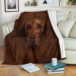 Flat Coated Retriever Face Hair Blanket