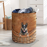 Australian Cattle Dog - Rattan - LB