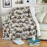 Dandie Dinmont Terrier Full Face Blanket