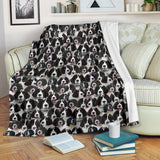 Landseer 2 Full Face Blanket