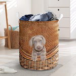 Weimaraner - Rattan - LB