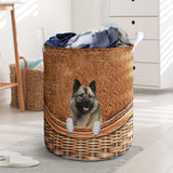 Norwegian Elkhound - Rattan - LB