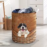 Australian Shepherd - Rattan - LB