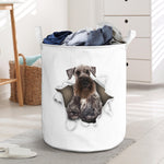 Cesky Terrier - Tornpaper - LB