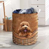 Poodle - Rattan - LB