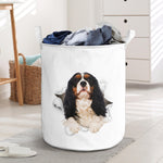 Cavalier King Charles - Tornpaper - LB