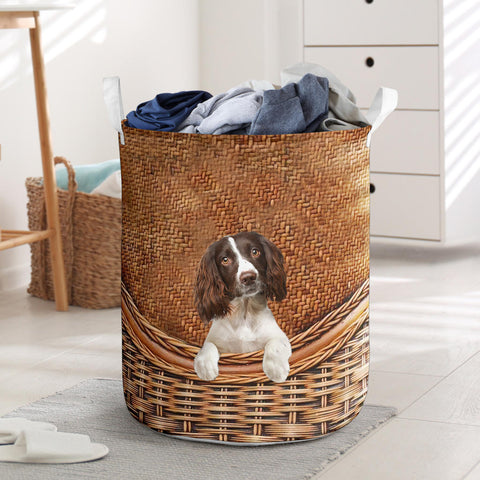 English Springer Spaniel - Rattan - LB