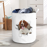 Welsh Springer Spaniel - Tornpaper - LB