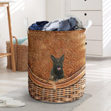 Belgian Malinois - Rattan - LB