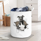 American Staffordshire Terrier - Tornpaper - LB