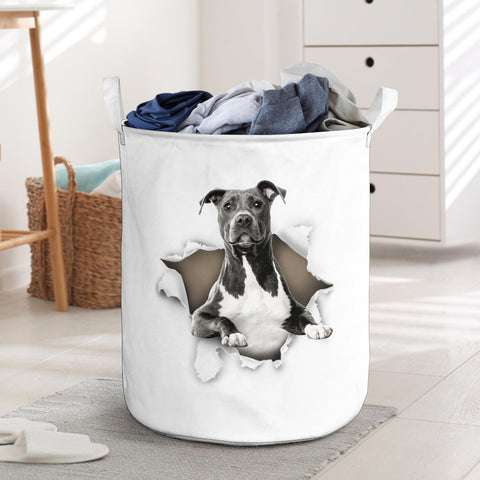 American Staffordshire Terrier - Tornpaper - LB