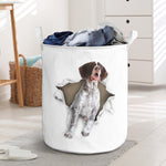 German Shorthair Pointer - Tornpaper - LB