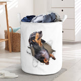 Dachshund - Tornpaper - LB