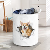 Pembroke Welsh Corgi1 - Tornpaper - LB