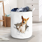 Basenji - Tornpaper - LB