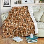 Nova Scotia Duck Tolling Retriever Full Face Blanket