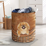 Pekingese - Rattan - LB