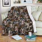 German Shorthaired Pointer Full Face Blanket